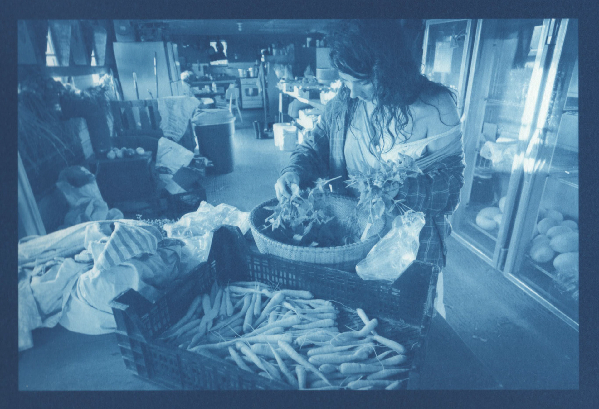 Cyanotype - Making Tea