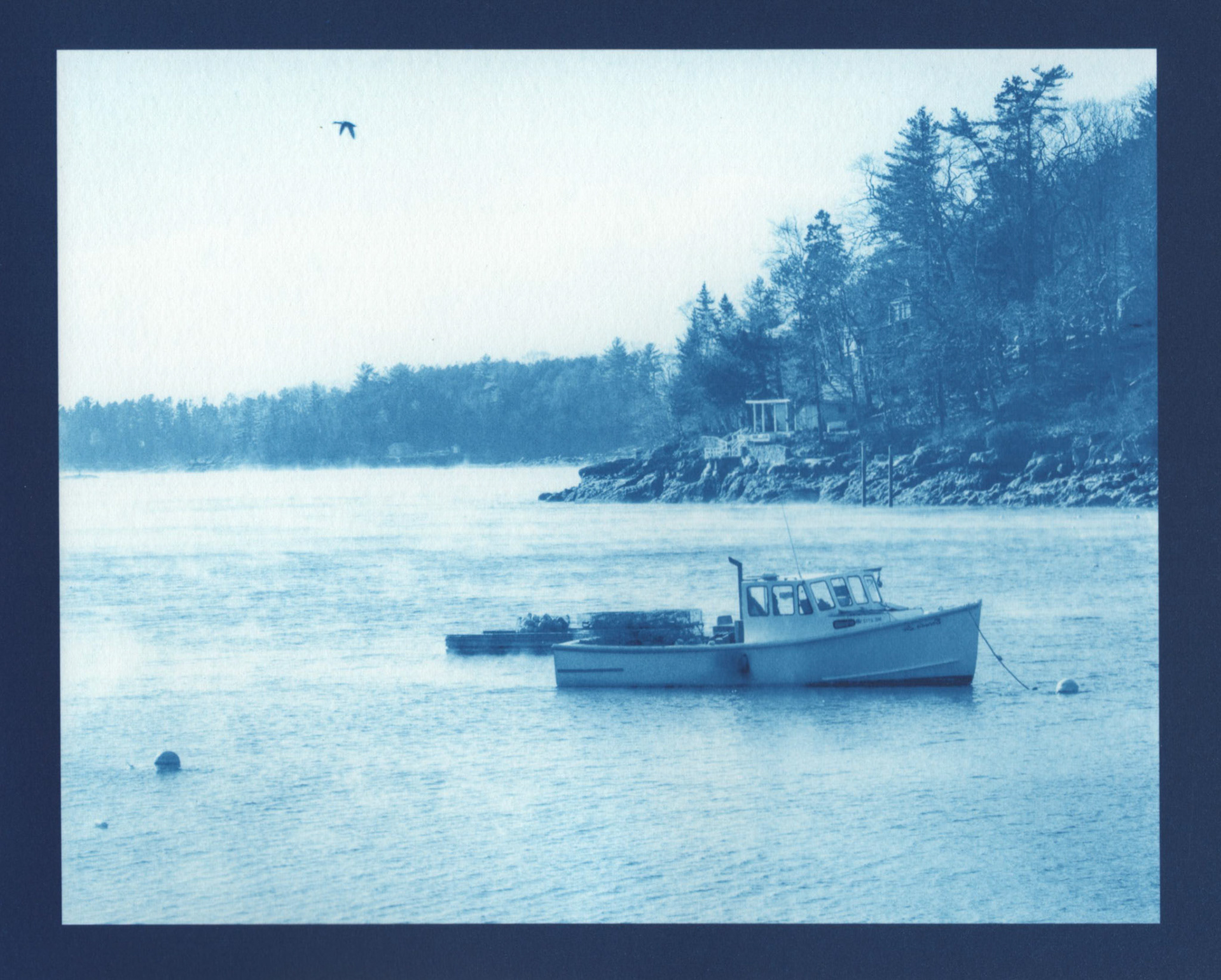 Cyanotype - Freezing Harbor