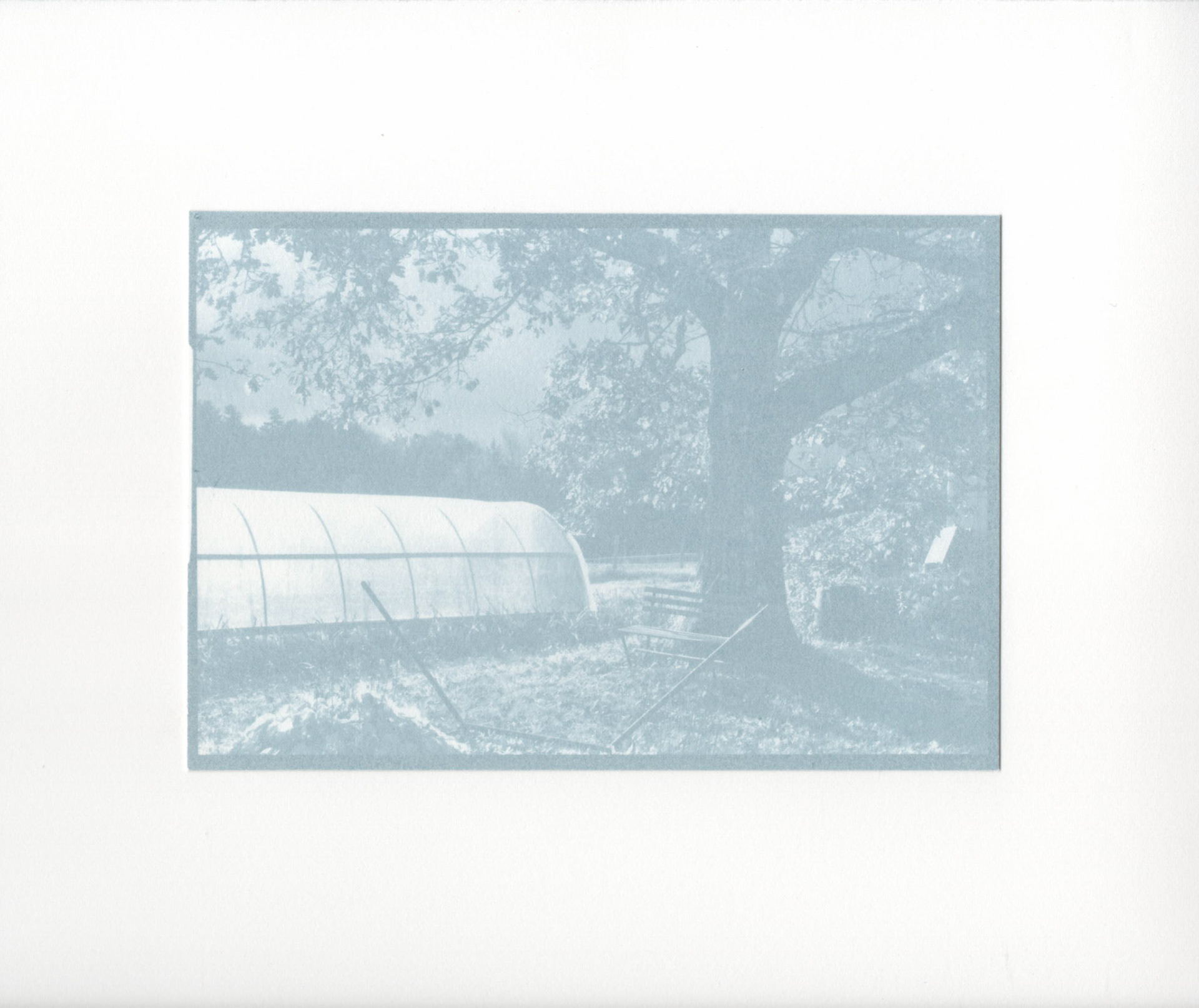 Gum Bichromate - Bucolic Landscape