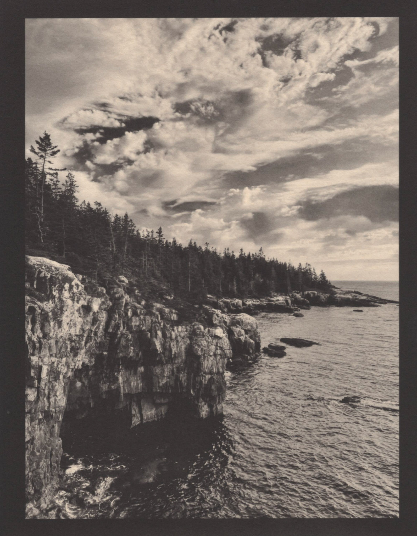 Kallitype - Raven's Nest