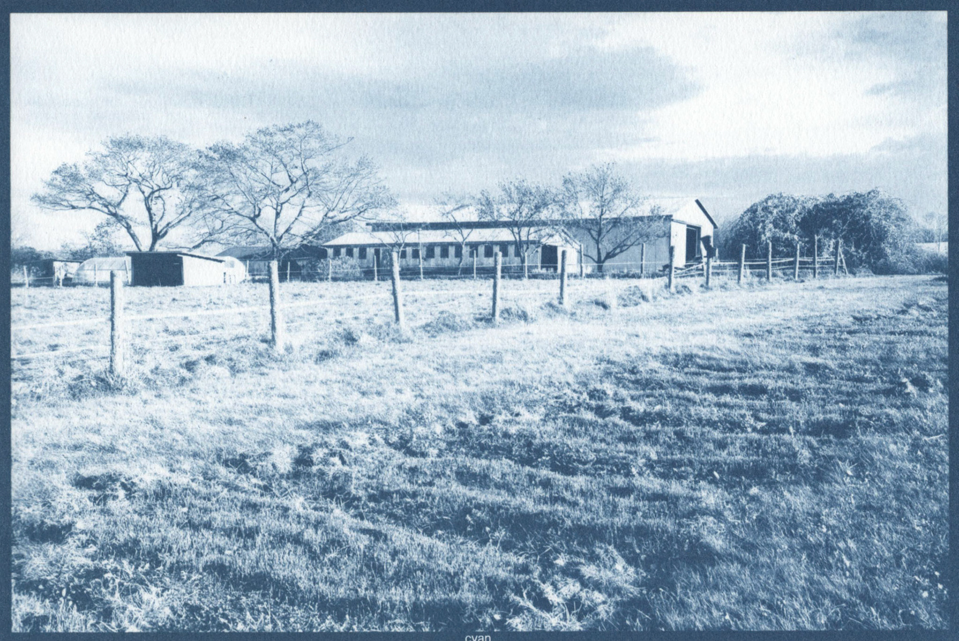 Cyanotype - At Seasons End