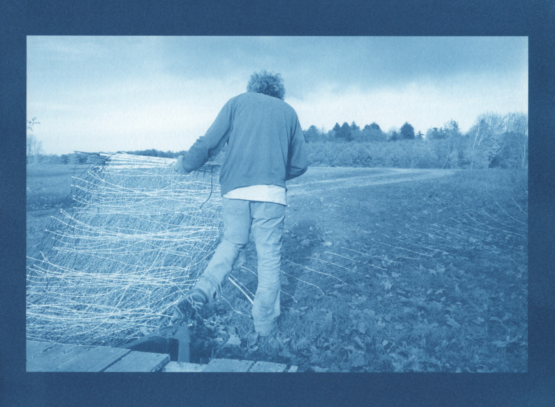 Cyanotype - Moving Fences