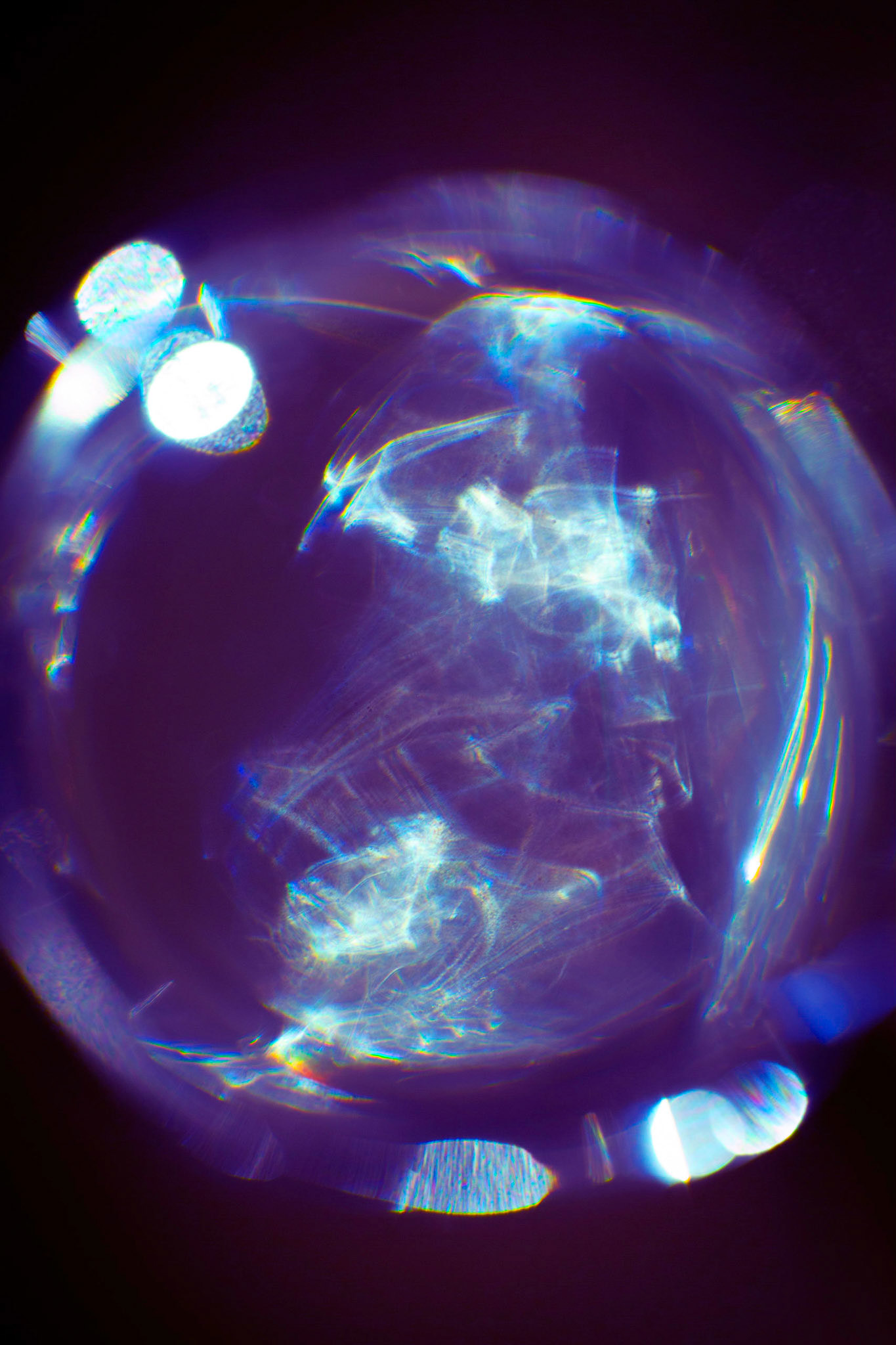 Diffraction