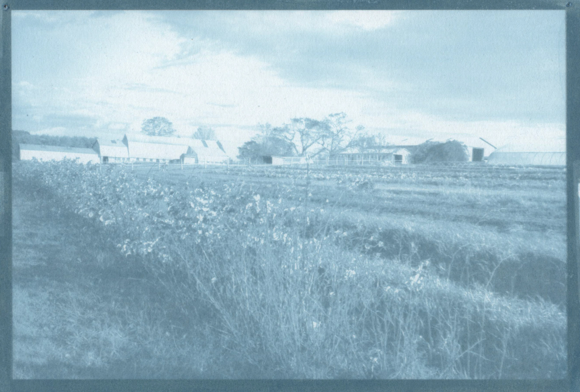 Gum Bichromate - Countryside