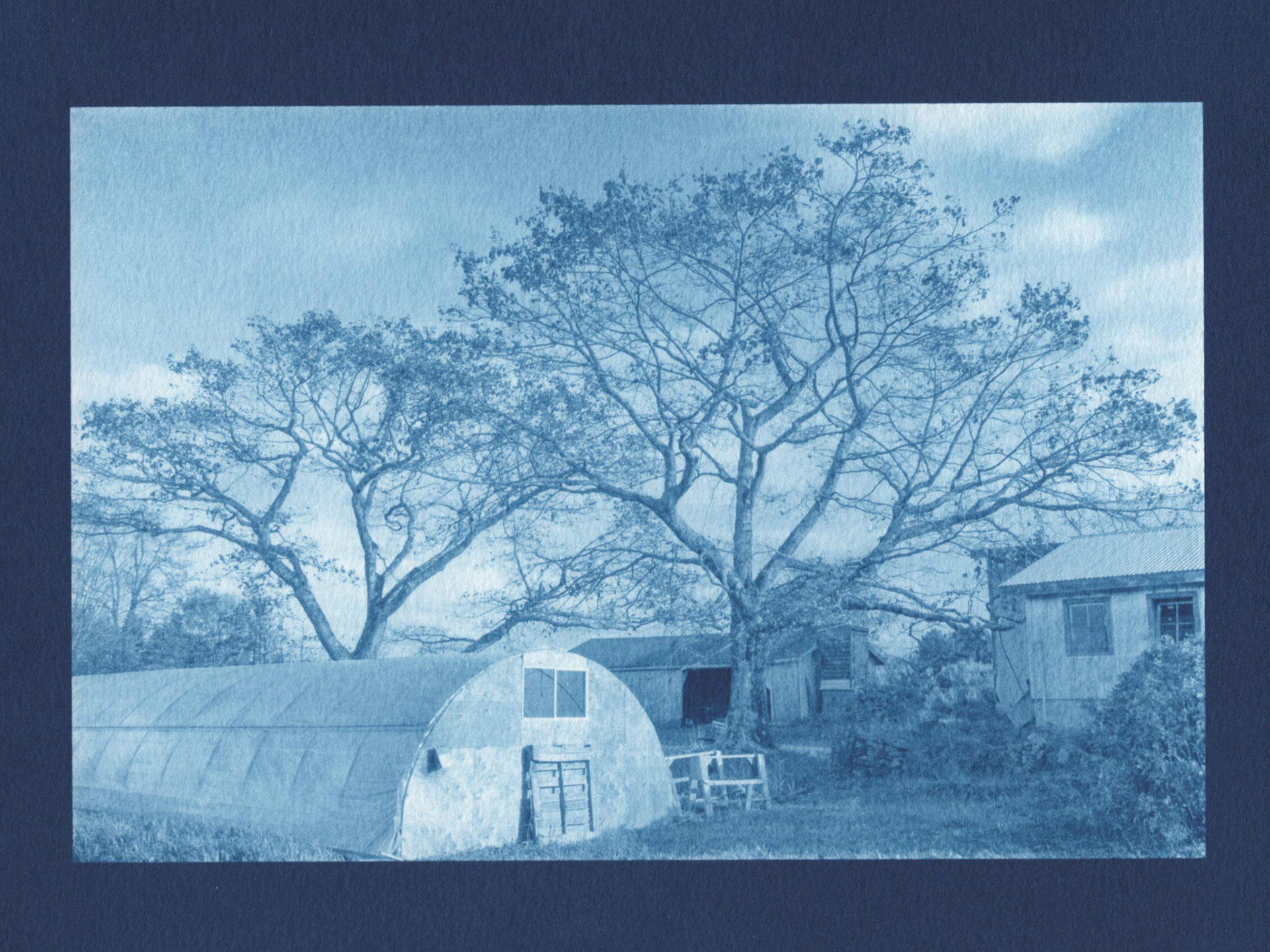 Cyanotype - Fall on the Farm