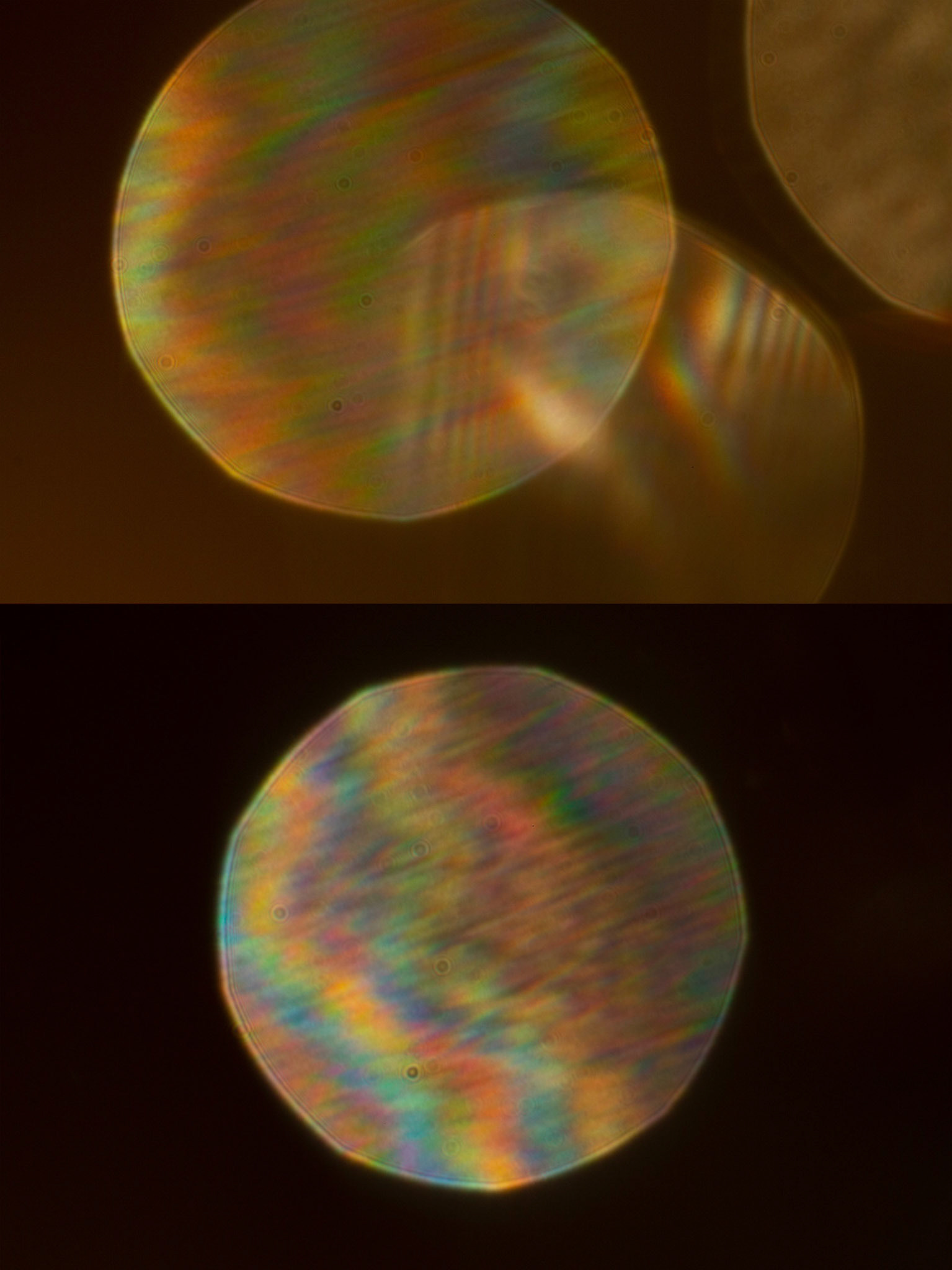 Aqueous