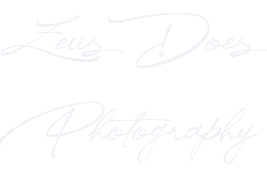 Zeus Holbrook