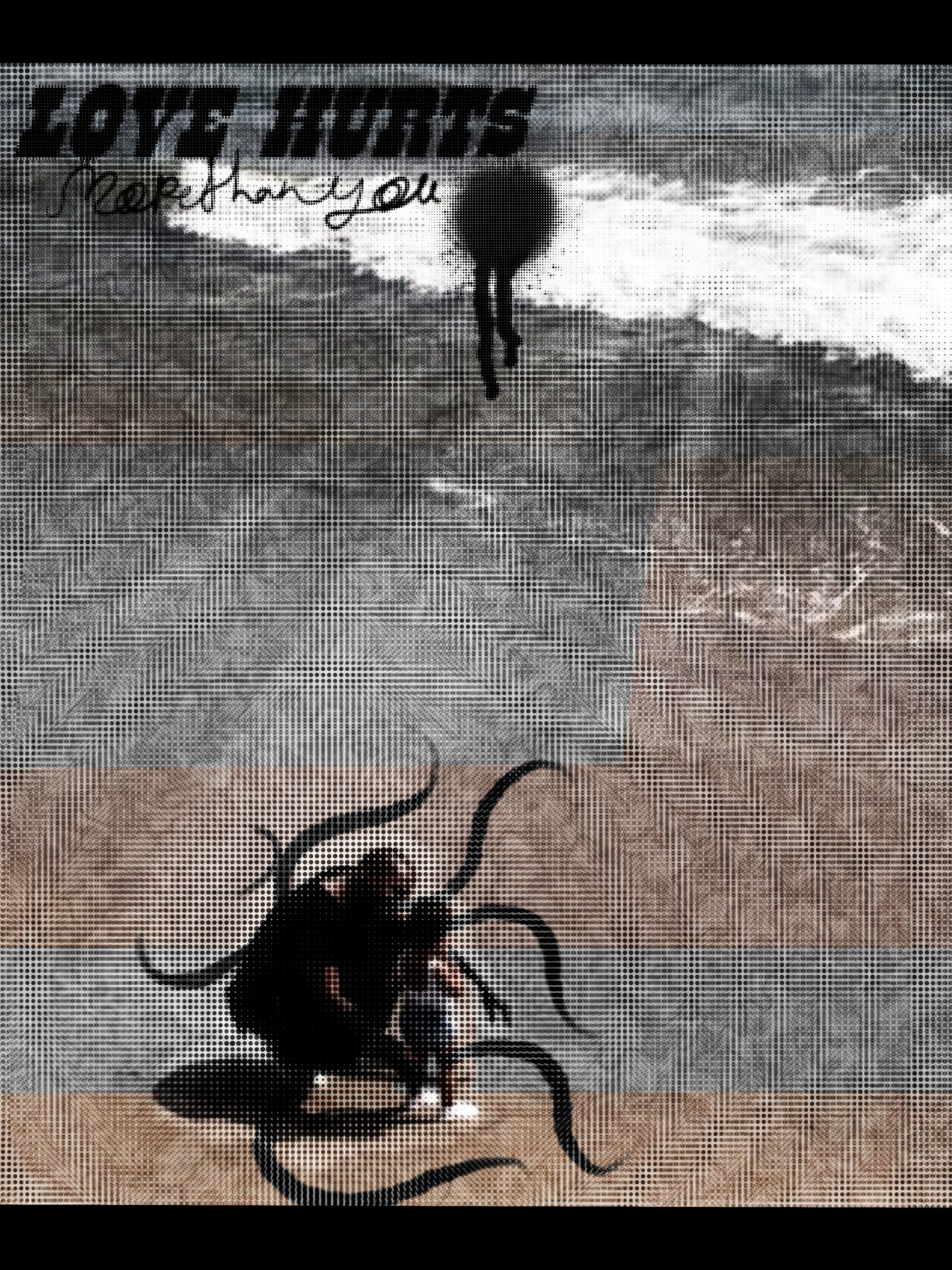 Album Cover poster