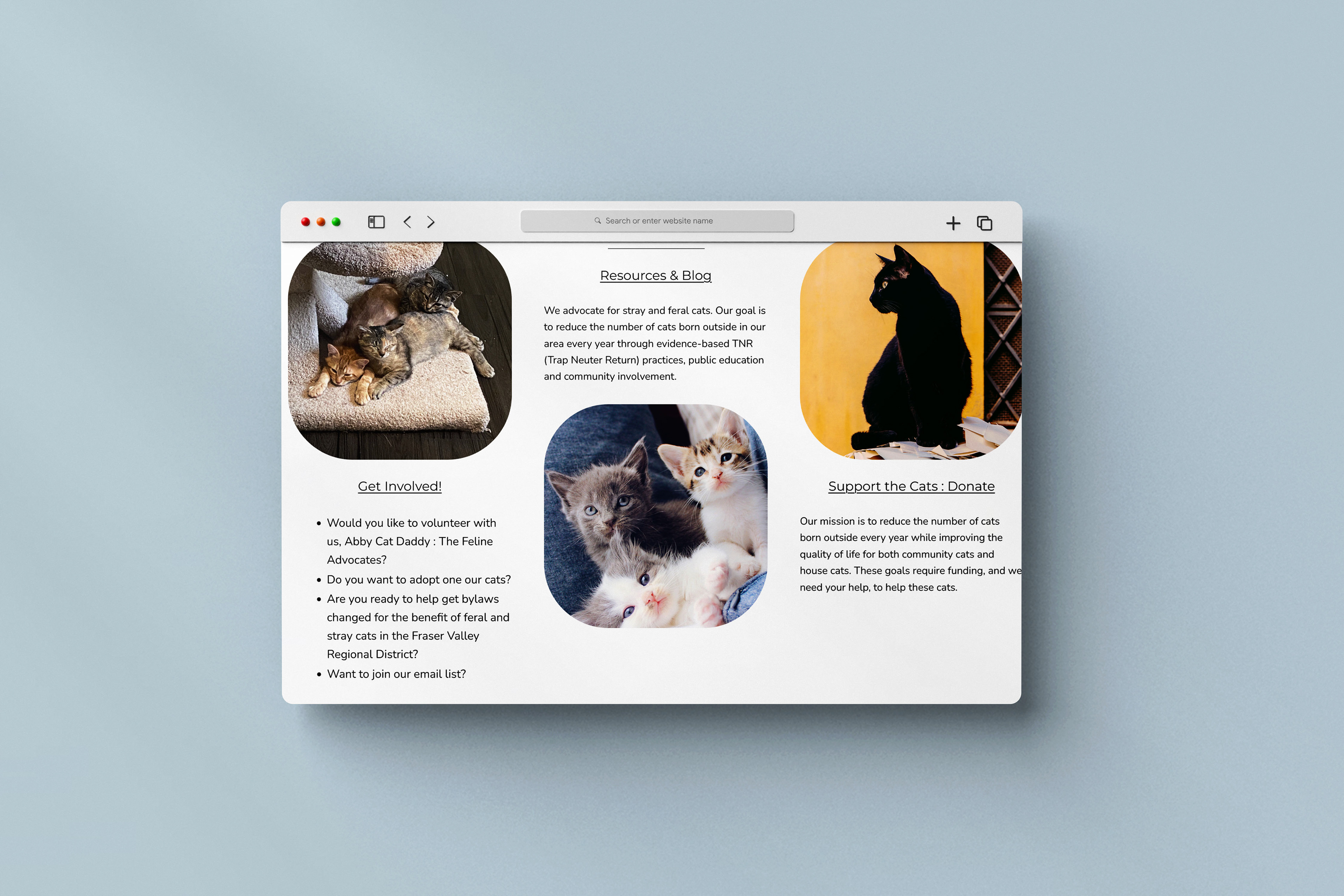 ACD website page