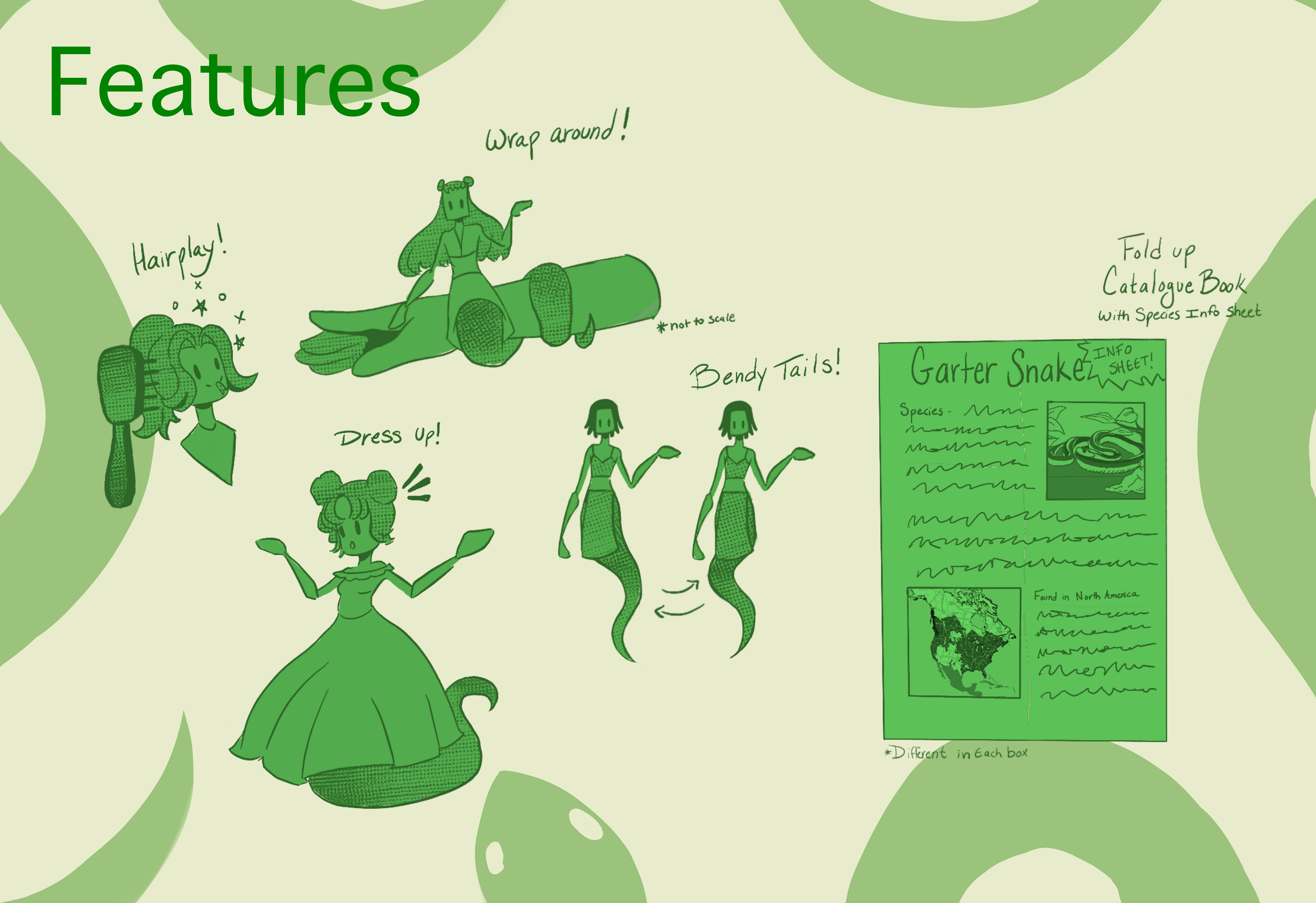 Features of the Line