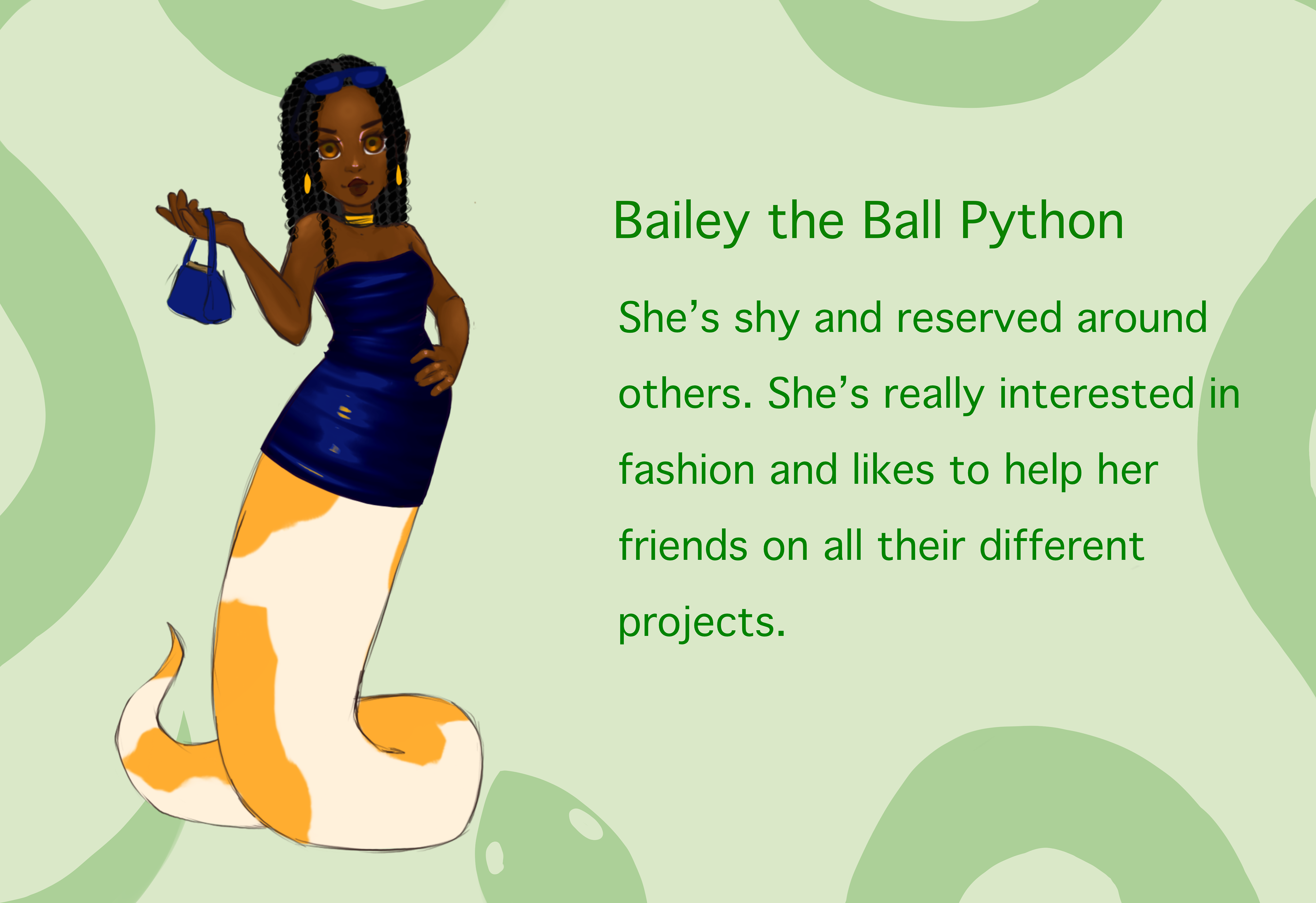 Bailey Ball Python