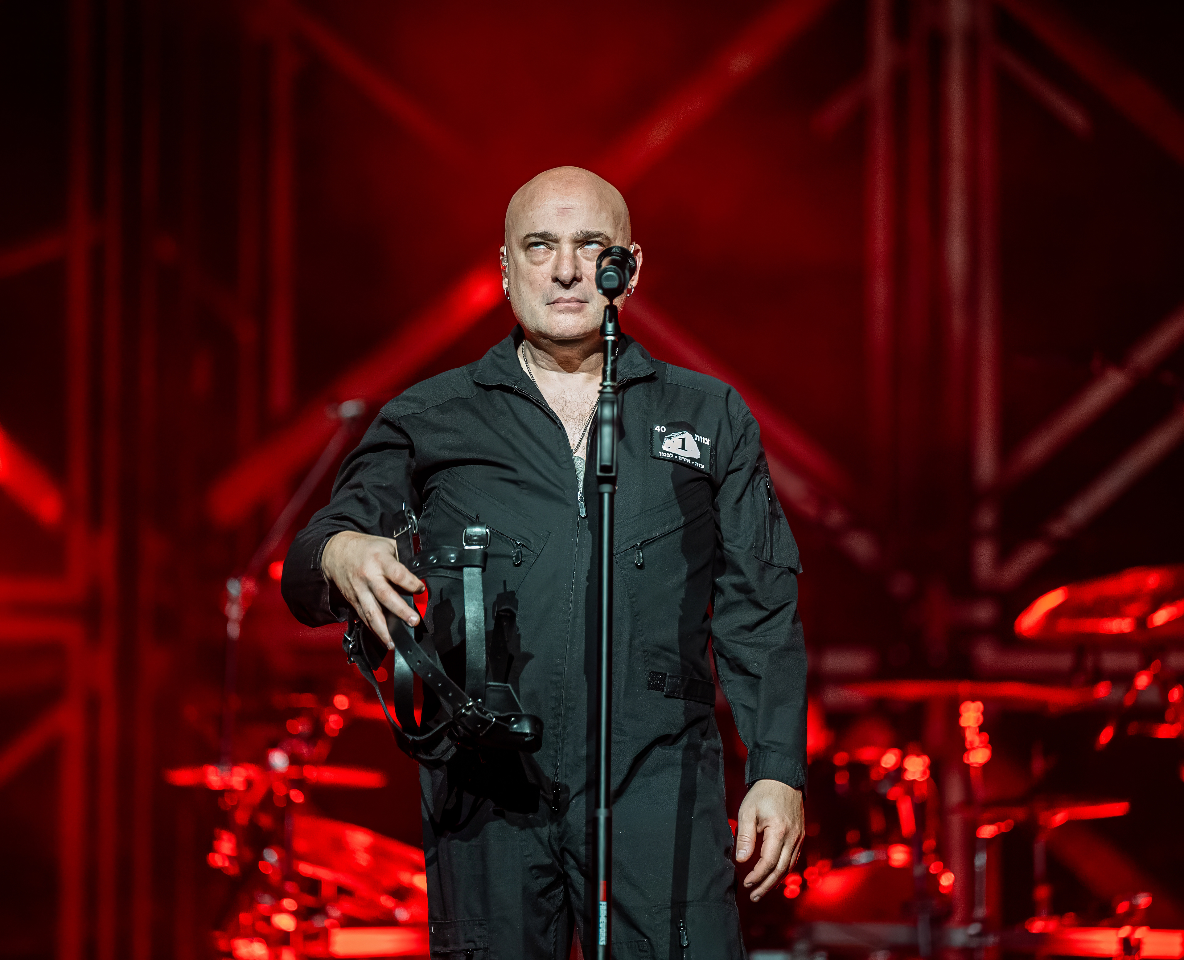 Disturbed