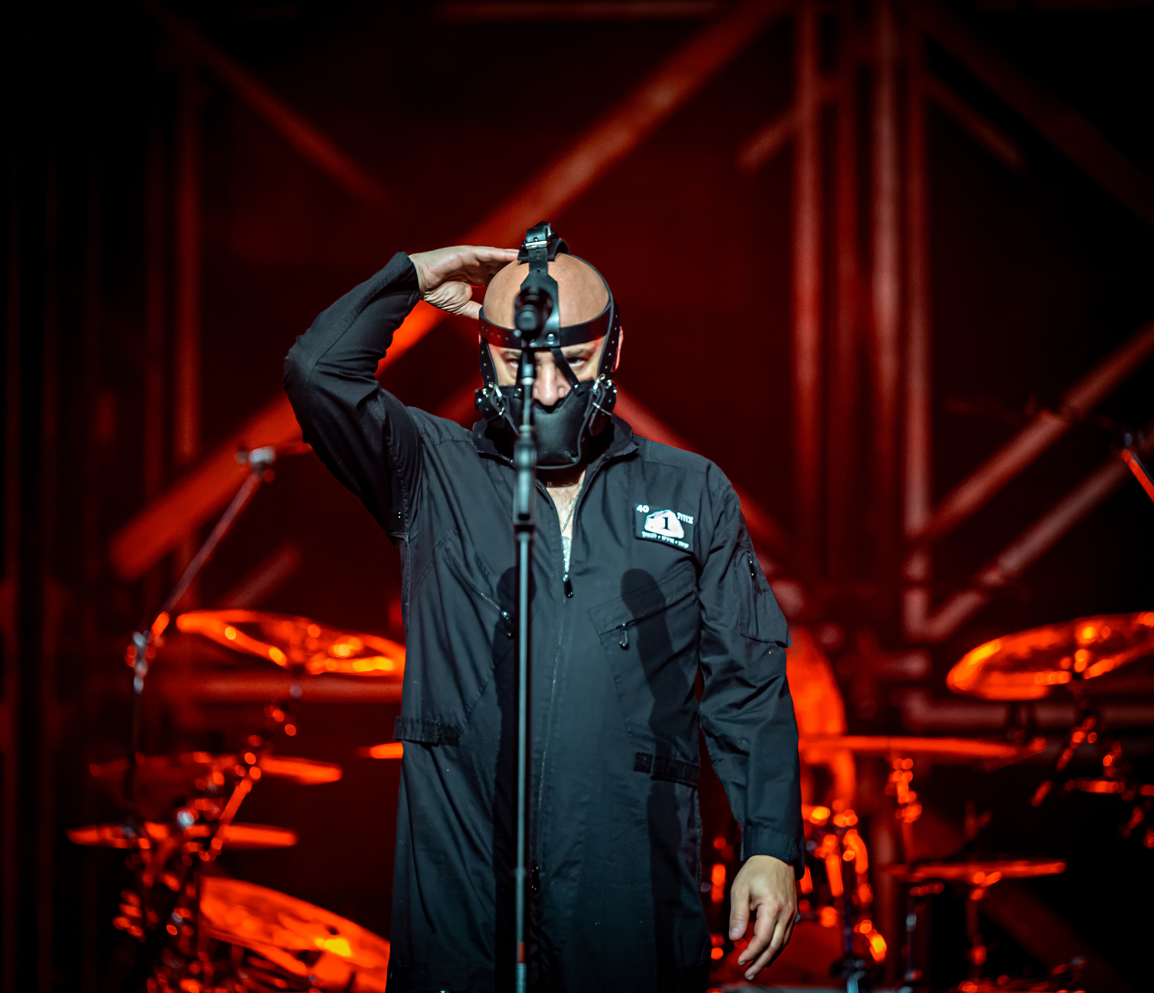 Disturbed