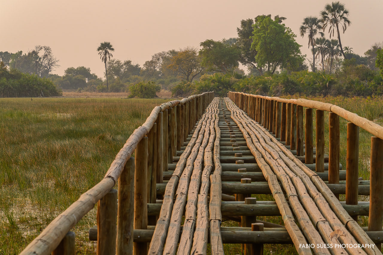 Bridge in the okavango delta, Botswana
