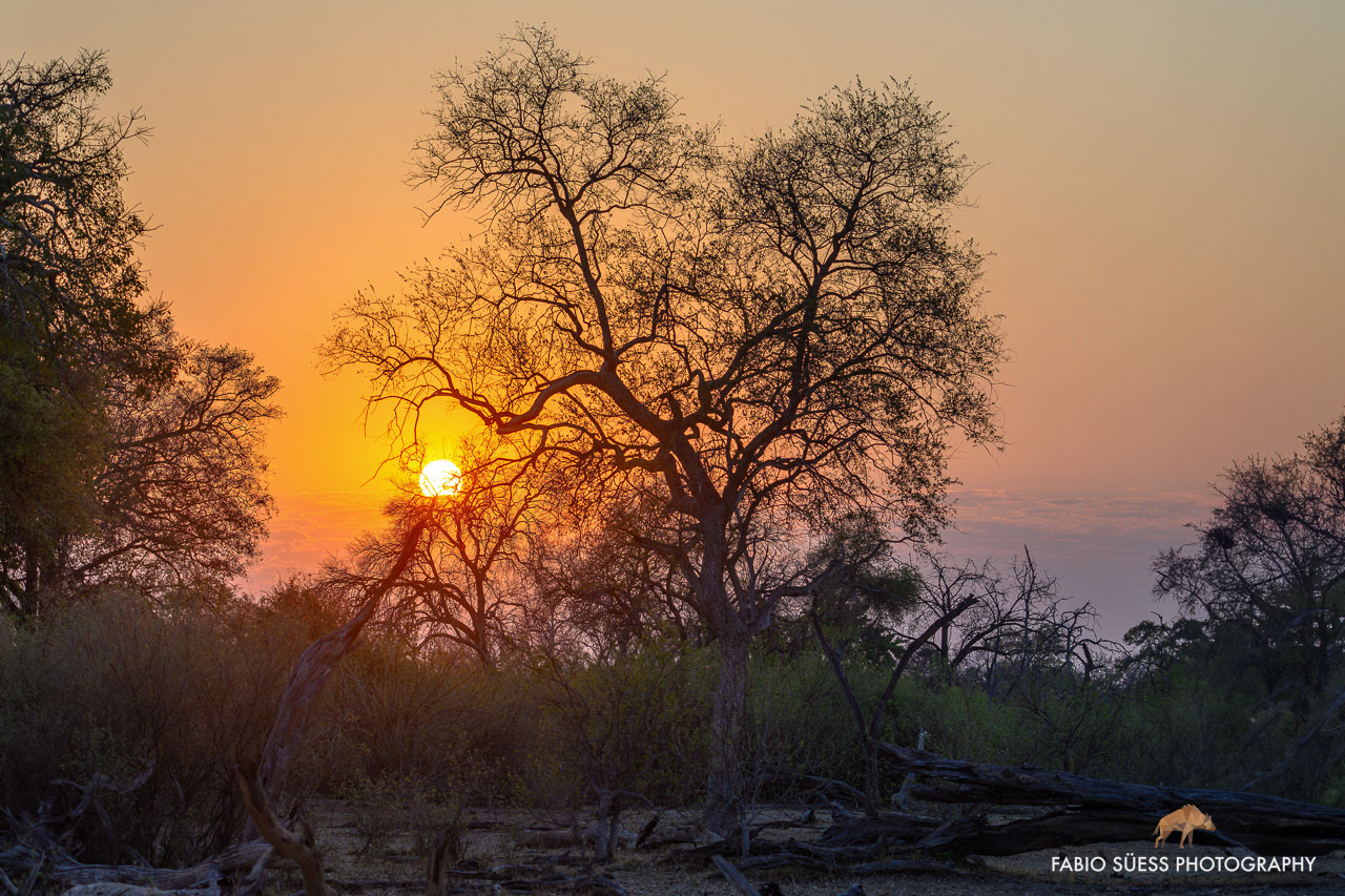 Sunset in Linyanti, Botswana