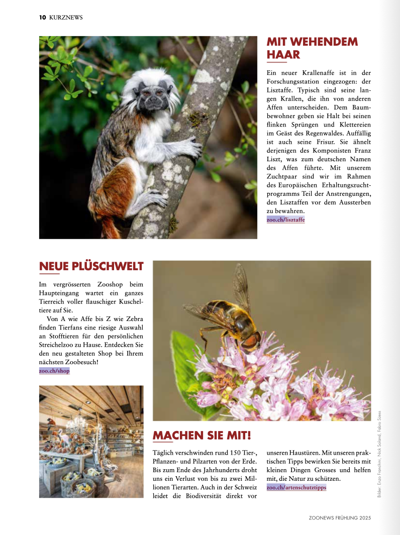 Zoo Zürich Zoo News Frühling 2025 © Zoo Zürich / Fabio Süess