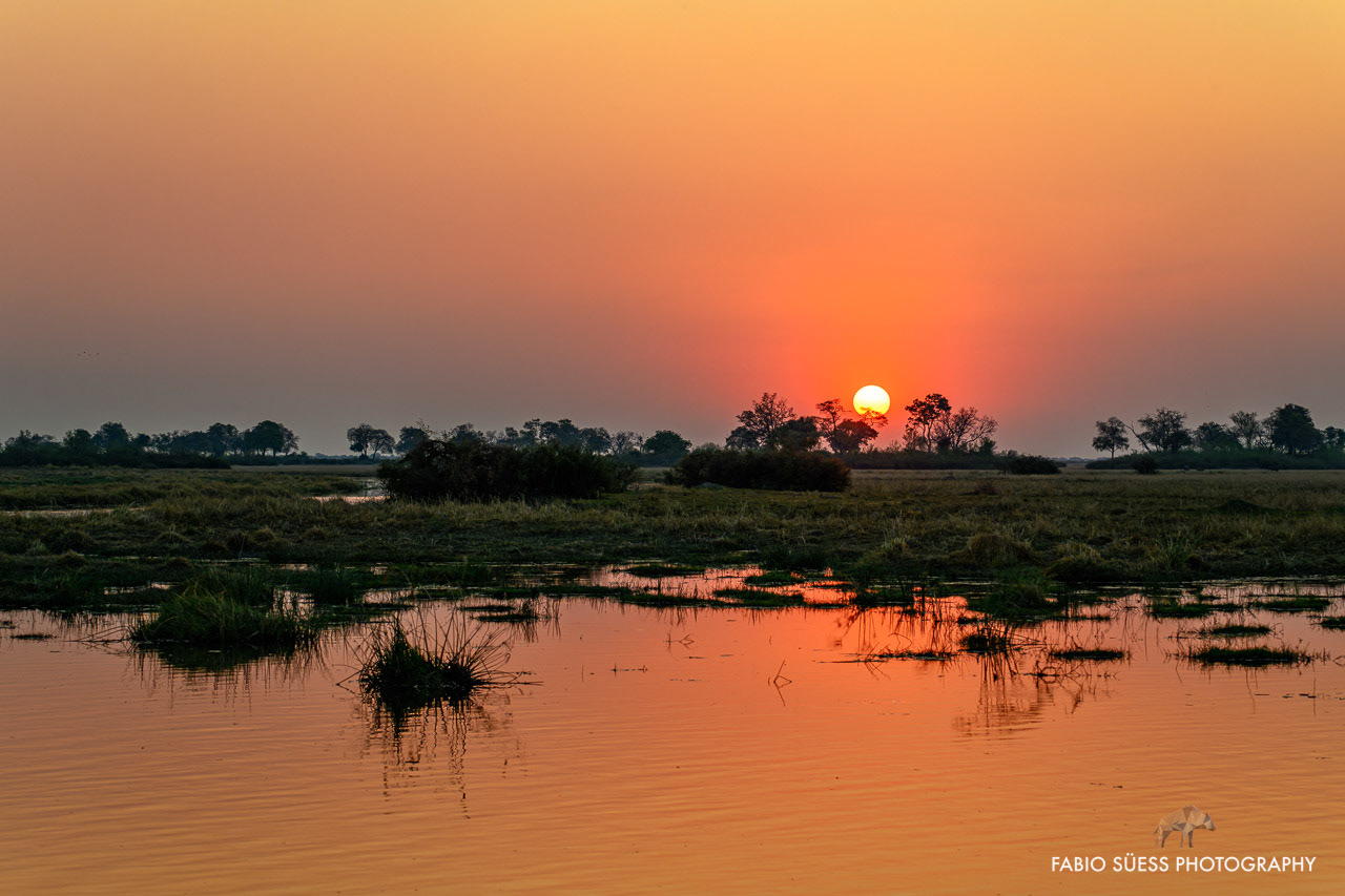 Sunset in the okavango delta, Botswana