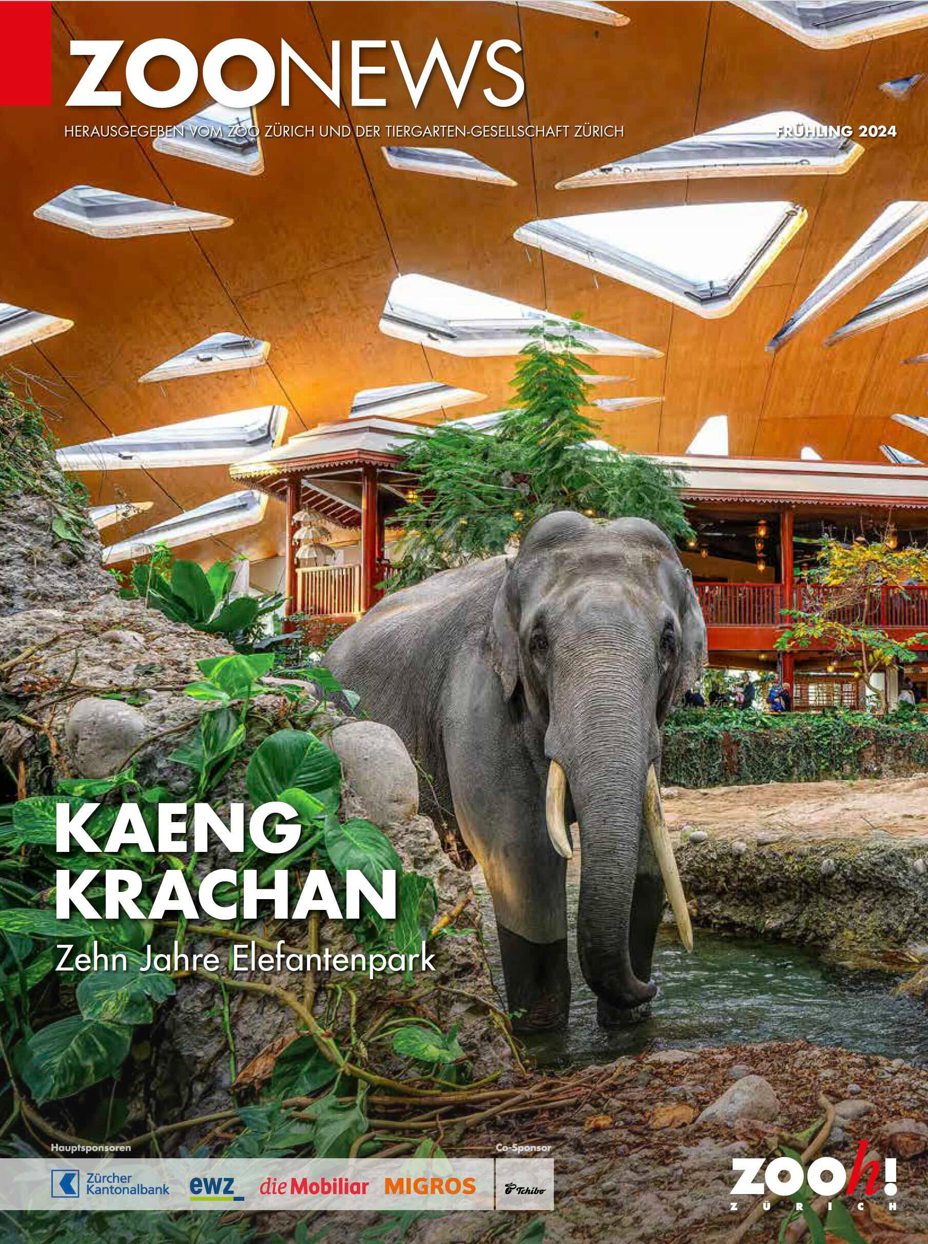 Zoo Zürich Zoo News Frühling 2024 © Zoo Zürich / Fabio Süess