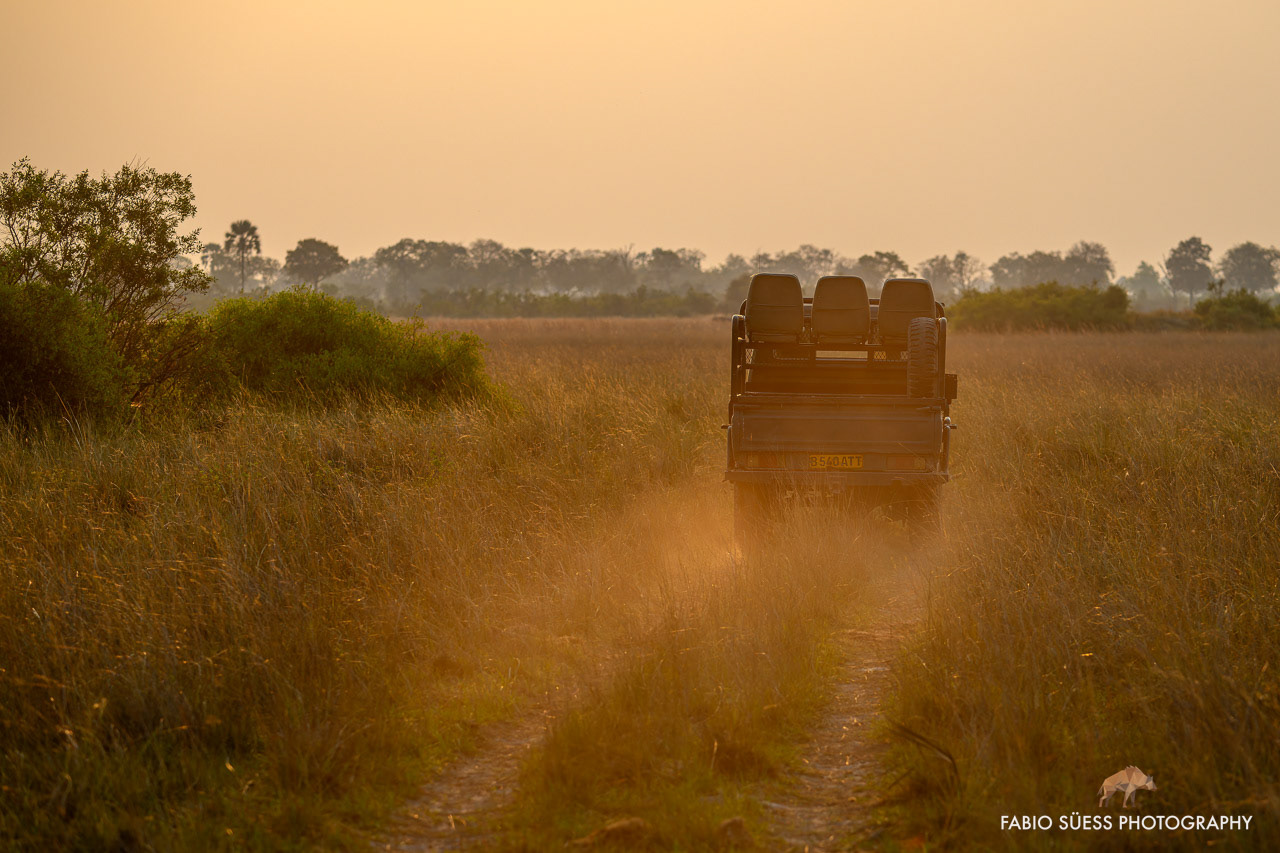 Off-road vehicle in the Okavango delta, Botswana