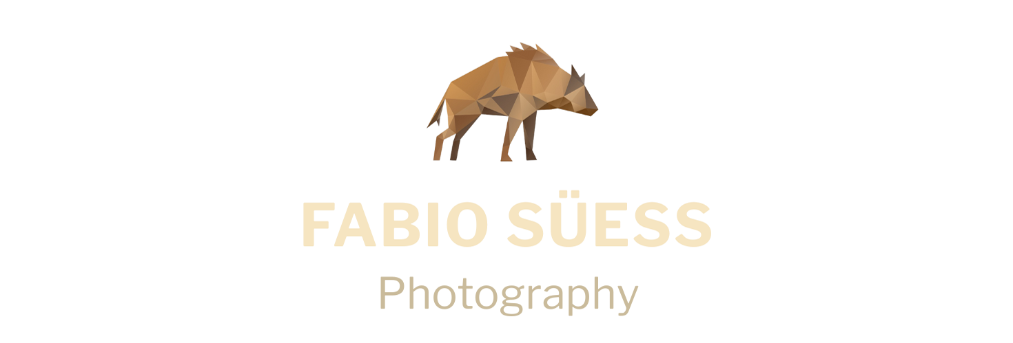 Wildlife – der Moment, der bleibt. Fotografie von Fabio Süess
