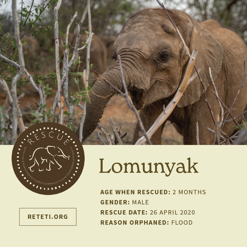 © All rights reserved, Reteti Elephant Sanctuary.