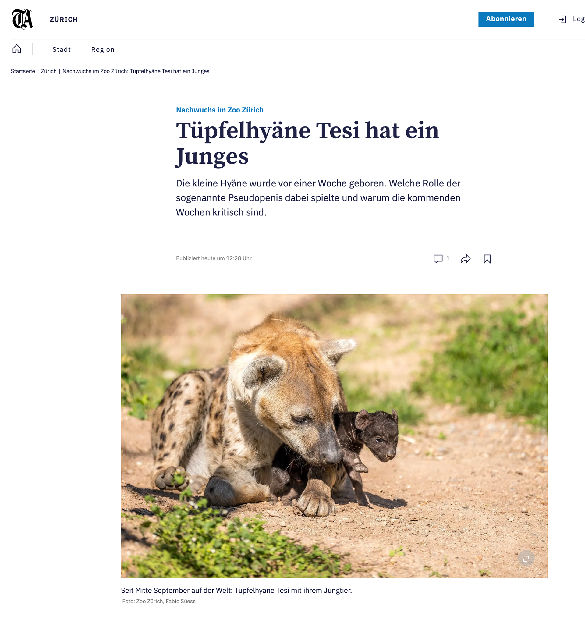 Tagesanzeiger Online 23.09.22 © tagesanzeiger.ch / Zoo Zürich / Fabio Süess