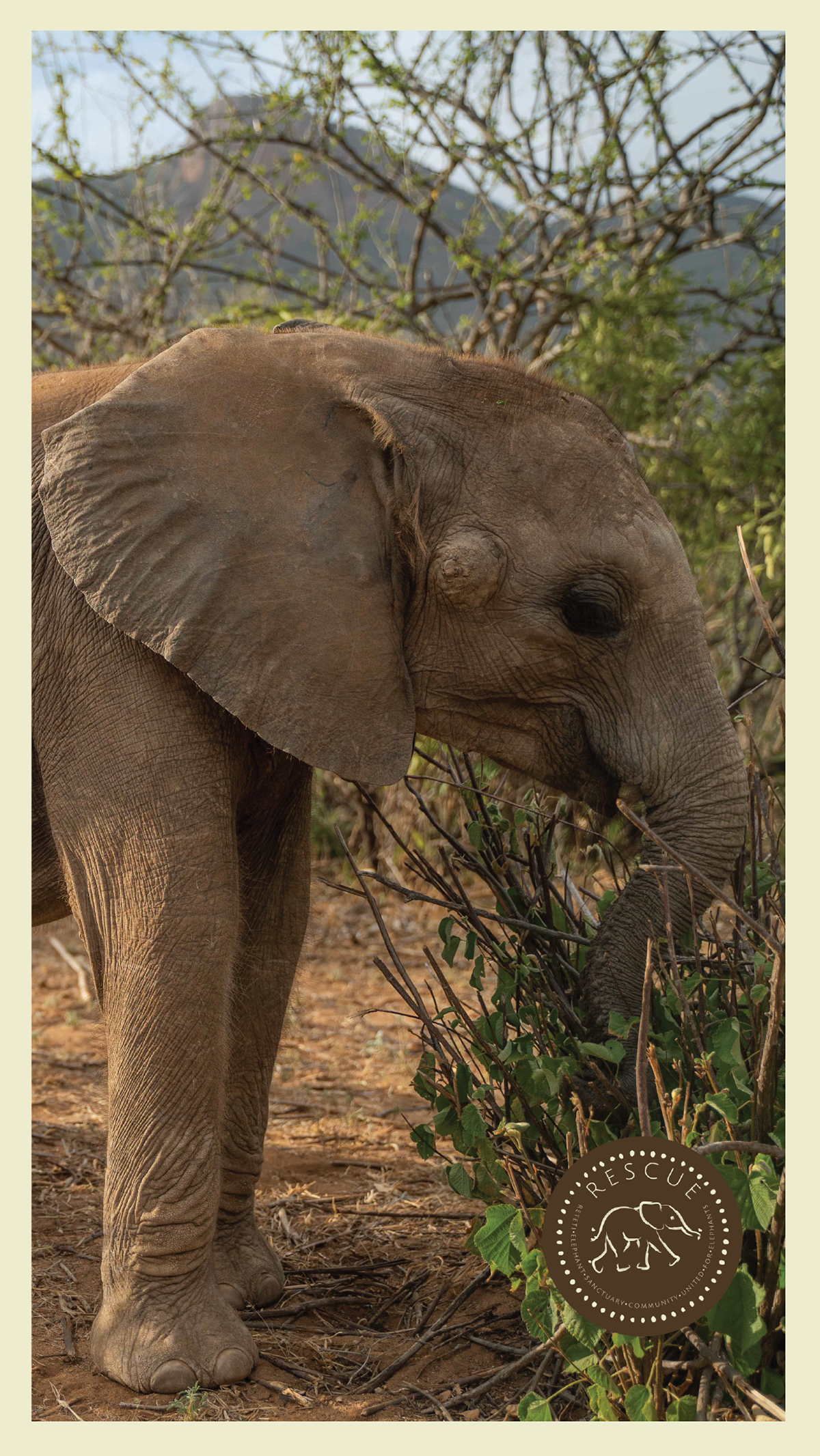 © All rights reserved, Reteti Elephant Sanctuary.