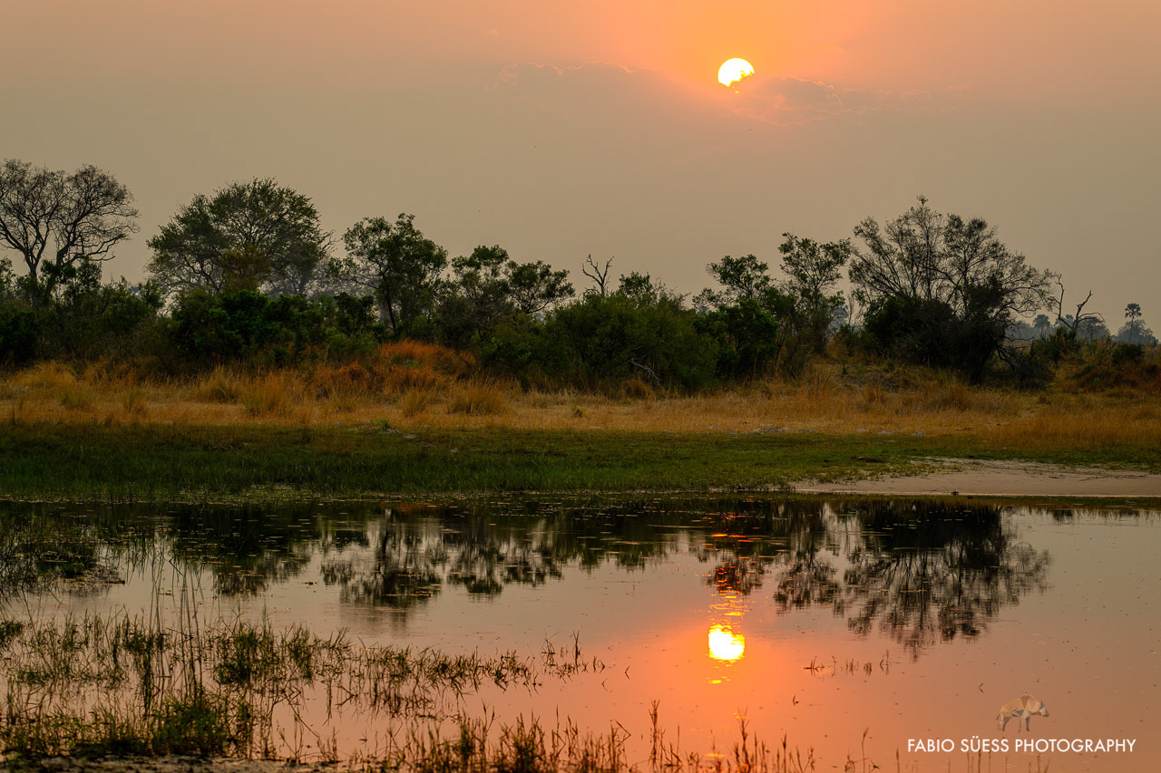 Sunset in the okavango delta, Botswana