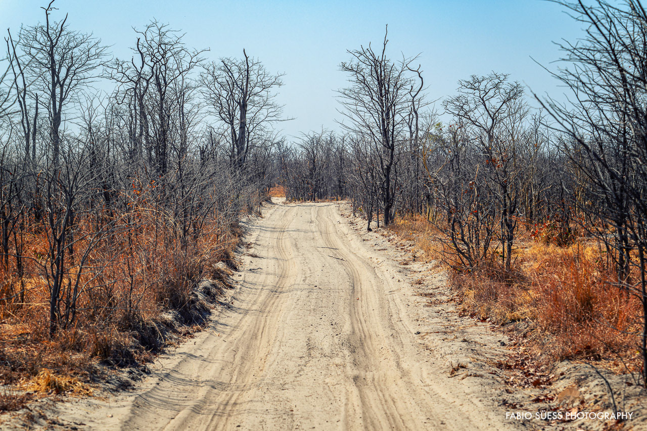 Linyanti, Botswana