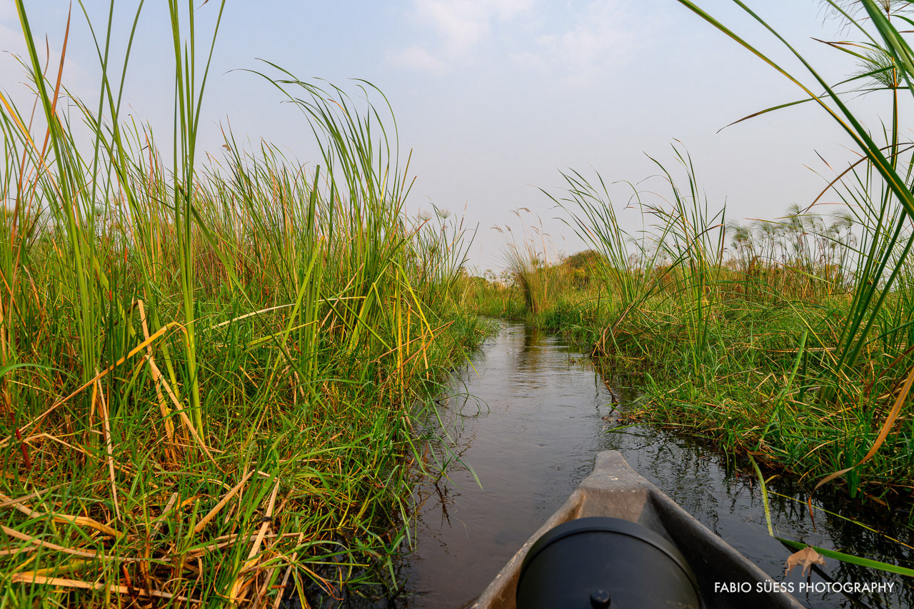 Mokoro trail, Okavango delta, Botswana