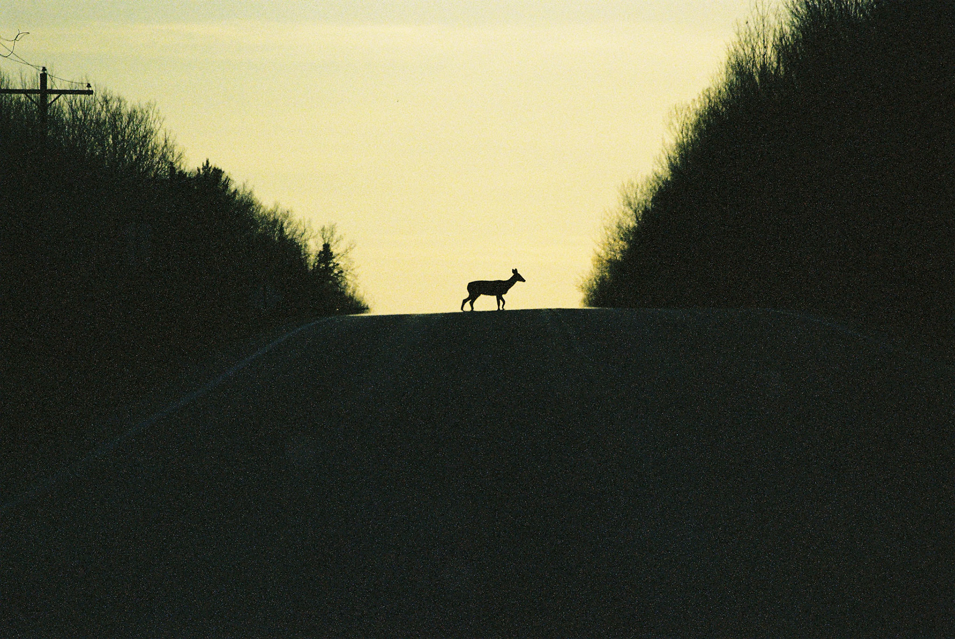 ©︎ 2024 Julius Hardy