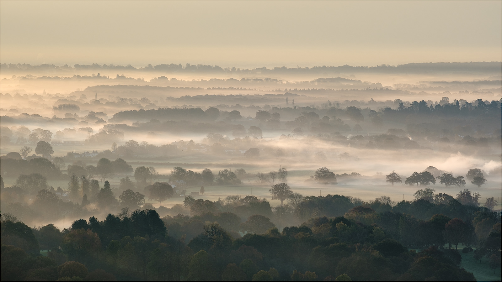 Grant Noble Early morning view from Boxhill