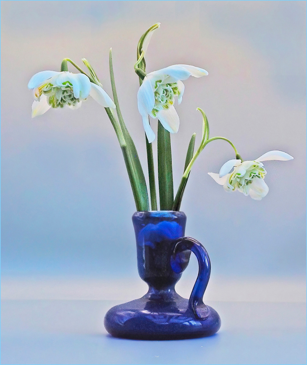 Double Snowdrops by Edward Bennett LRPS