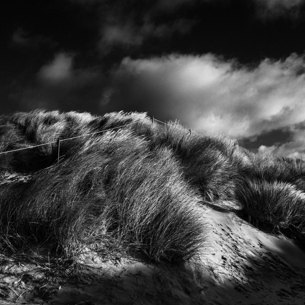 Wittering Dune by Mike Nott