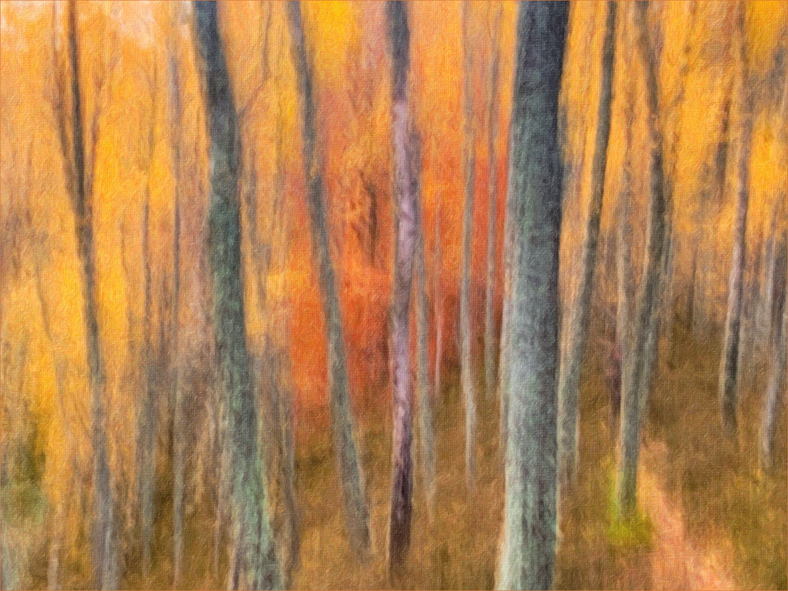 SCORE 10 Loch Insh Autumn Trees by Andrew Webster ARPS
