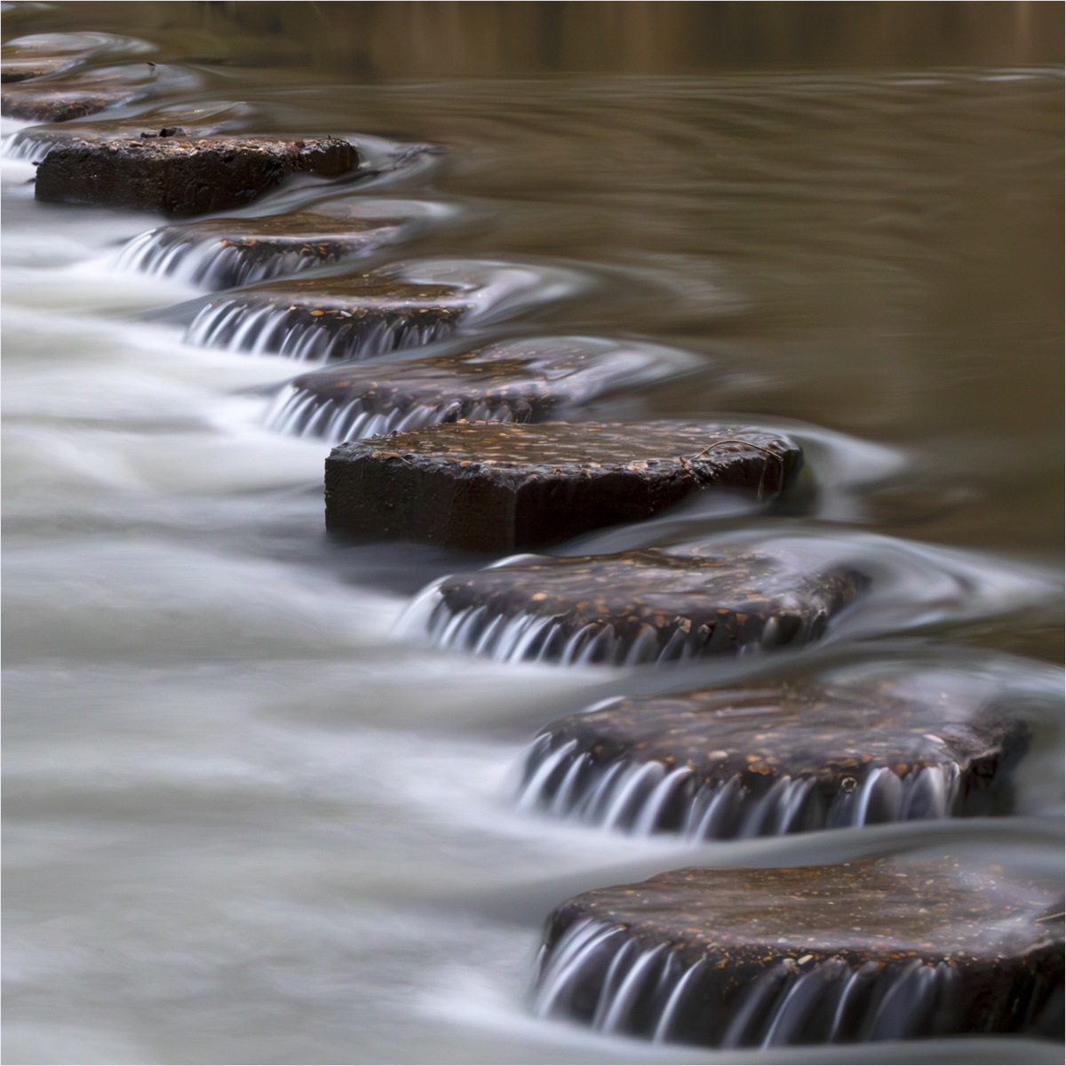 Path of Stillness by Andrew MacRae
