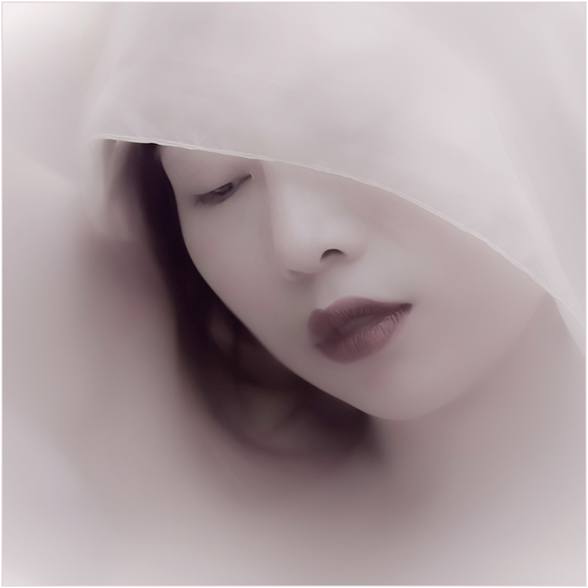 WINNER Serenity by Genetta Aprilante