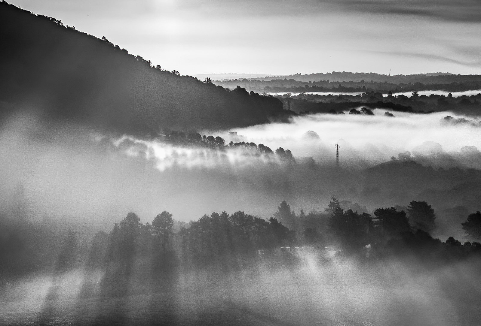 Box Hill Sunrise by Daniel Langer