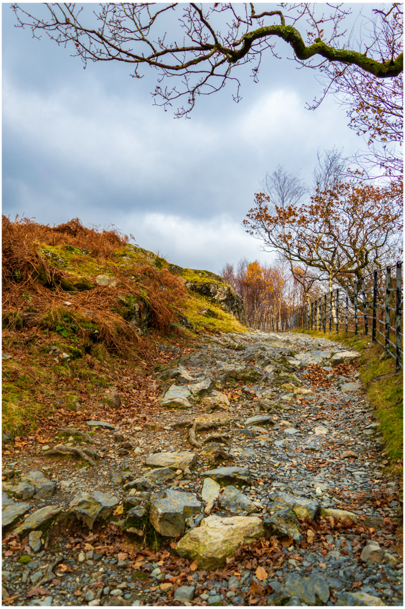 Autumn Path by Genetta Aprilante