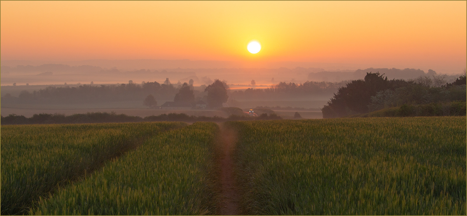 3RD PLACE:  Catherine Allum    May sunrise over Chilbolton Down, Hampshire   PDI