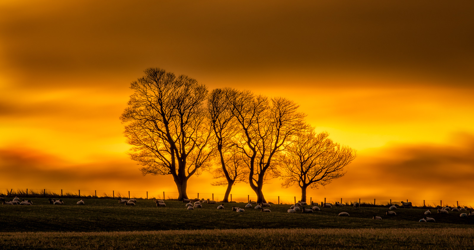 SCORE: 9.5 Winter sunrise in Northumberland by Andi Hargreaves LRPS