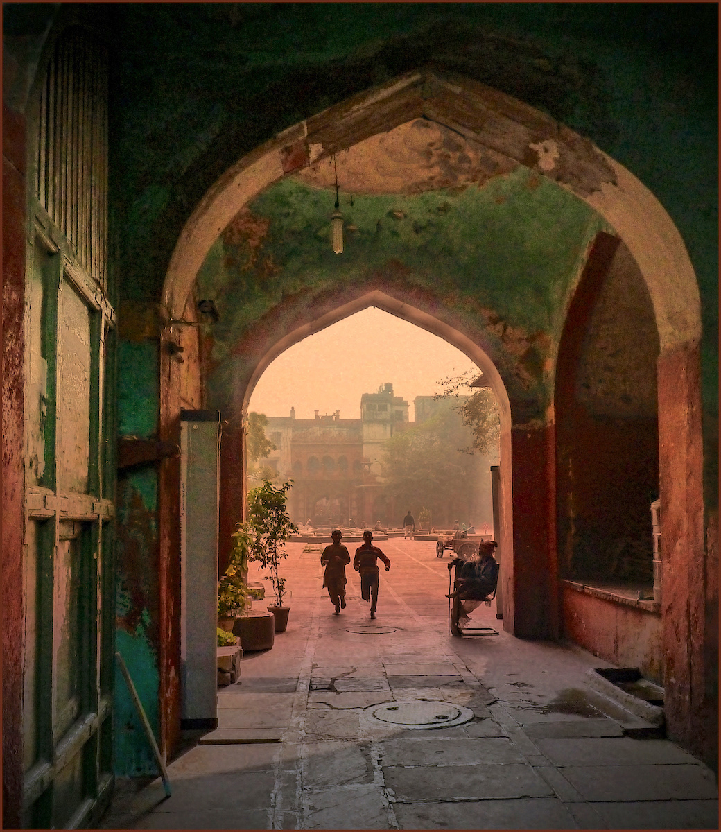 SCORE 9.5 Indian Runners by Sheena Rogers