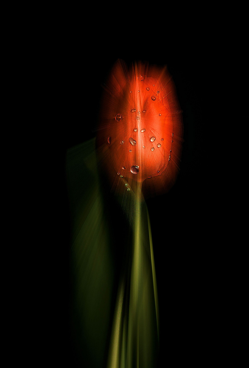 In the spotlight by Bogdan Schiteanu