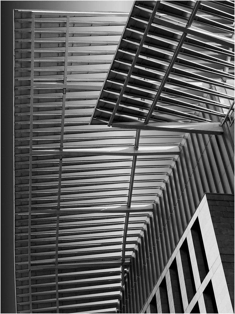 AND DNA by Barrie Ward