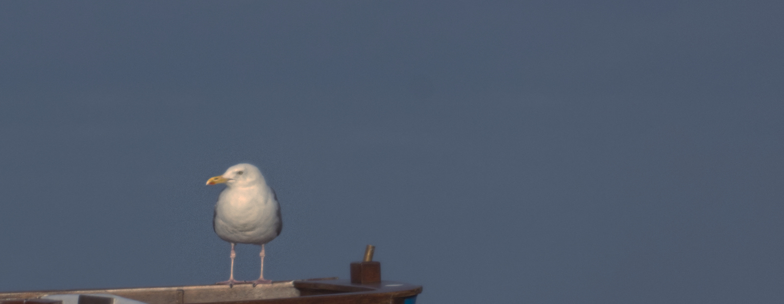 On the Look Out by Alan Loryman