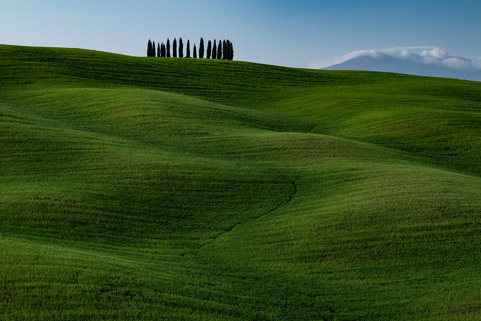 Score 9 Dorking 12 Mile Williamson Monte Amaiata, Val d Orcia