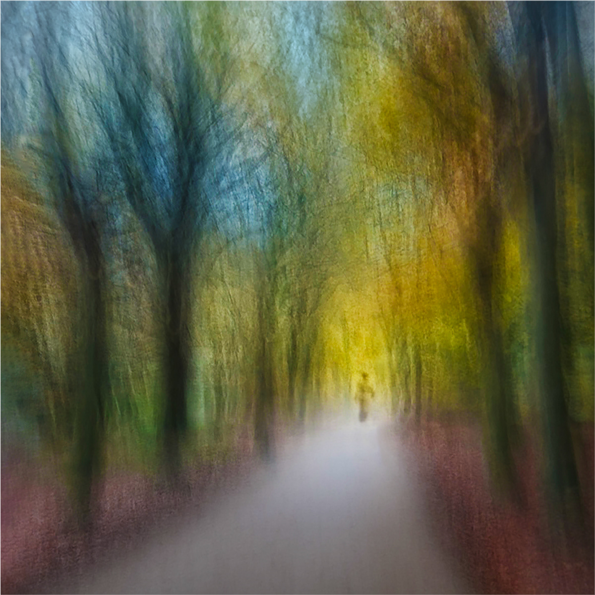 Highly Commended Into The Light by David Hindley LRPS