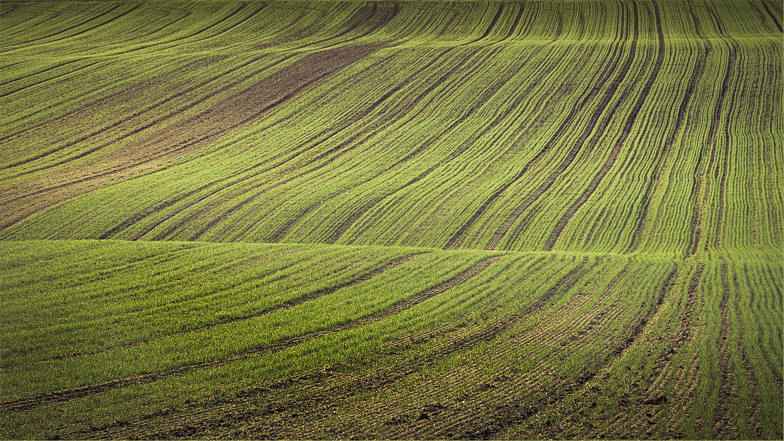 HELD BACK: Folds in the land by Bob Ede