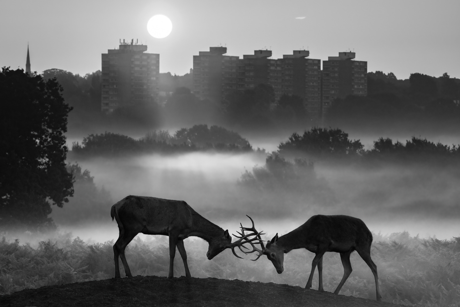 HELD BACK  Urban Arena by Daniel Langer