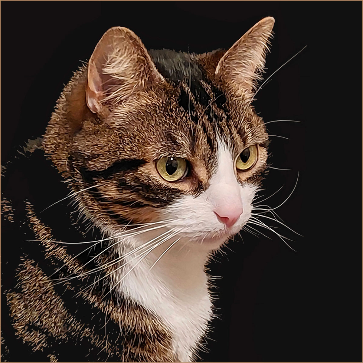 HELD BACK   Theodore by Edward Bennett LRPS